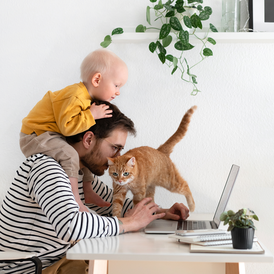 Working from home. Father freelancer with baby and cat in home office at his desk. Family indoors; Shutterstock ID 1704698404; purchase_order: 301093771; job: Employee Story Book; client: Zurich Global HR
